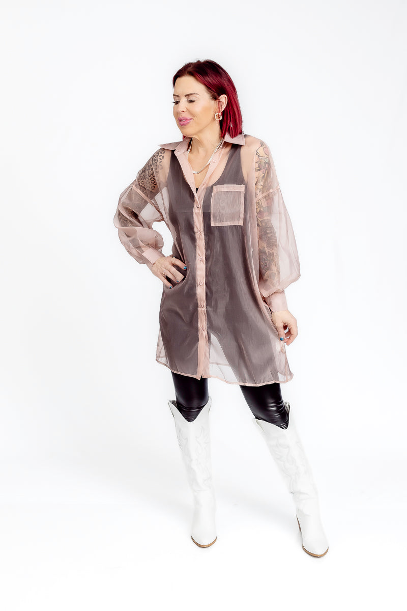 Blushing Sheer Mesh Button-Up Long Sleeve Top- T199