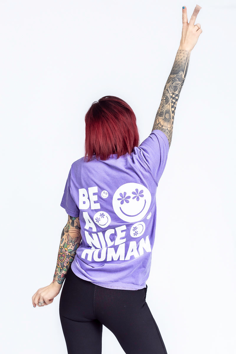 Be A Nice Human Violet Comfort Color Graphic Tee- T195